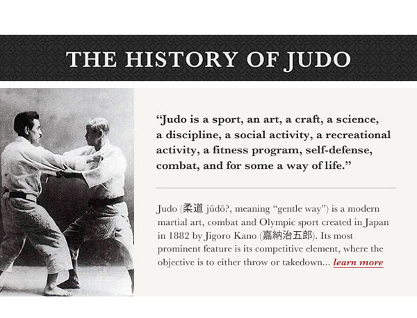 ux/ui minimalist sport design Judo