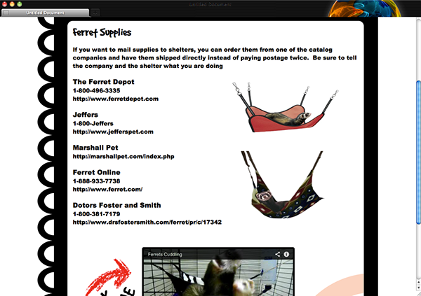 Website redesign ferrets nonprofit