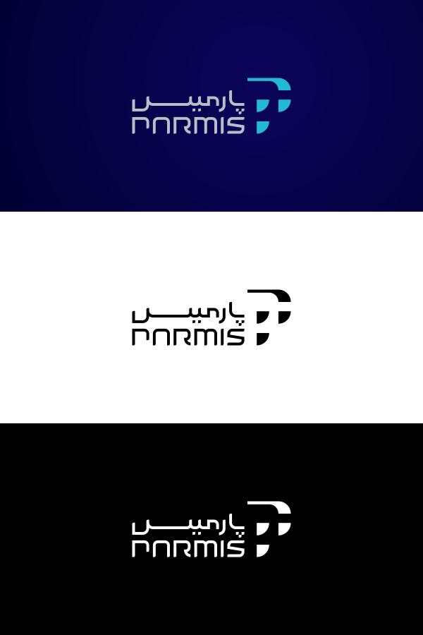 brand logo design parmis navid mark IT Web graphic