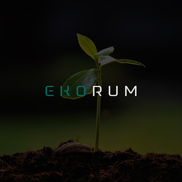 eco Ecology logo visual identity Website company eco conferences