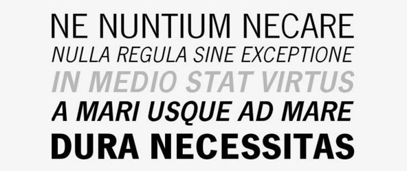 1900 19th century american corporate economic gothic grotesk grotesque Headline linotype magazine modern modest monotype morris fuller benton movie Neutral newspaper POLAROID poster printer psycho sans saul bass star wars static sturdy Web