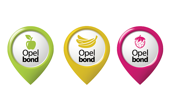 application mobile Website landing page giveaways opel Cars community network service Bonding Bond digital Web