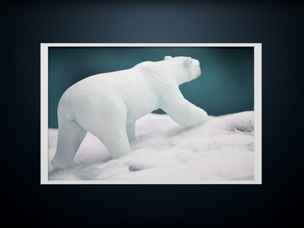 bears dharma snow Neve ursos cold frio lost perdidos Serie blue