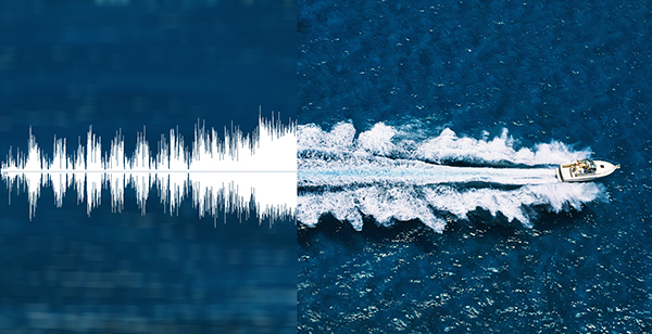 Nature Sound Form Wave (2014)