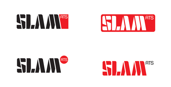 SLAM dnsee logo