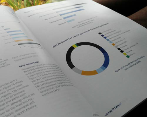 Layout Design document Business plan Charts chart design