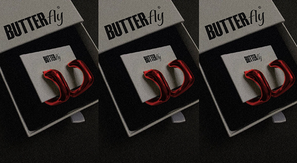 Butterfly| Логотип | Фирменный стиль | Брендбук