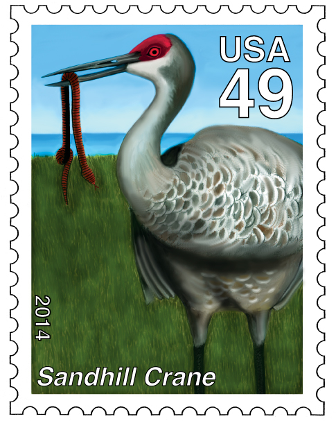 sohal tang sandhill crane golden lion tamarin animals stamps