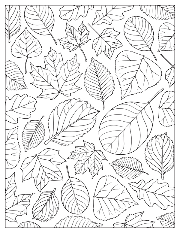 Nature Coloring Pages on Behance