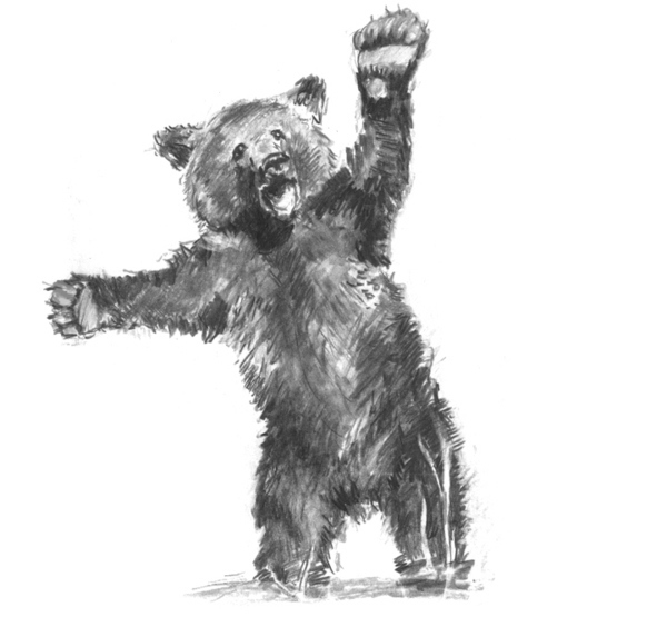 sketches rat bear pencil drawings