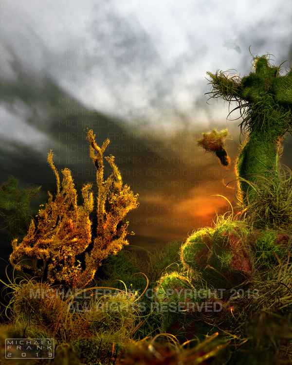 Michael Frank 3D conceptual design Landscape surreal Nature science
