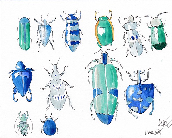 bugs Insects beetles bees