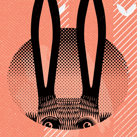 Vector Illustration illustrated typography year of the rabbit rabbit 2011