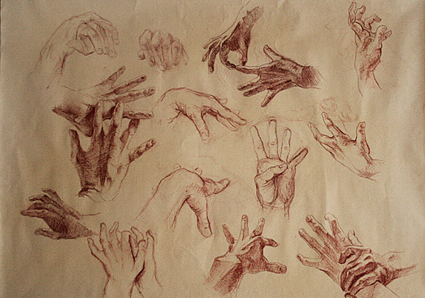 erika  fabian graphic study human hands male female arts fine