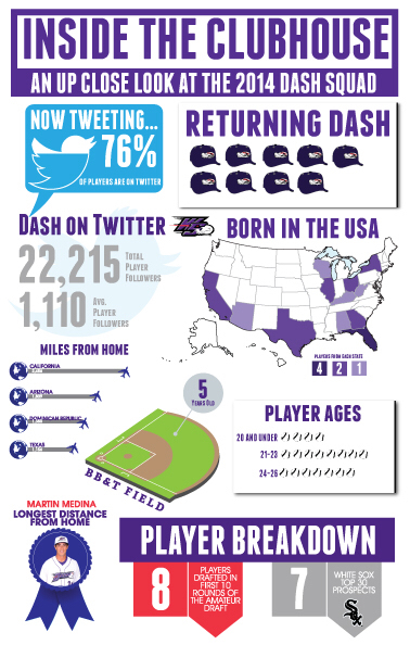 graphic design  baseball infographic
