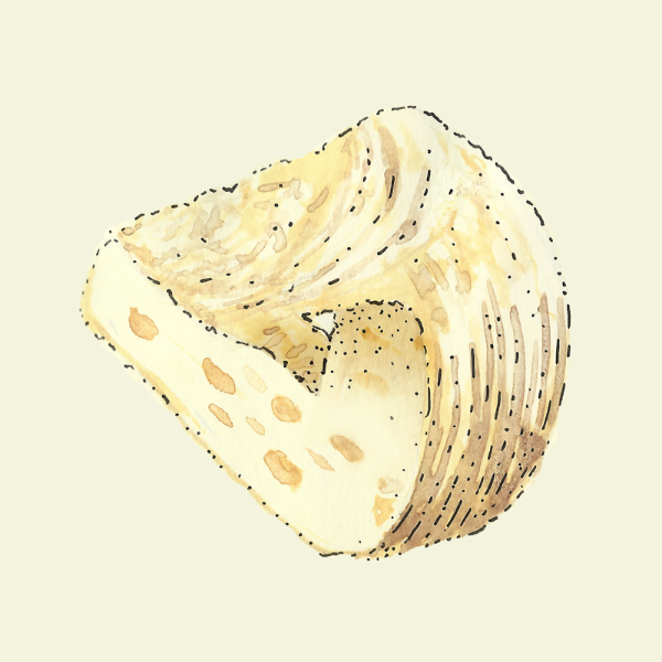 Cheese ILLUSTRATION  escher mobius strip geometry