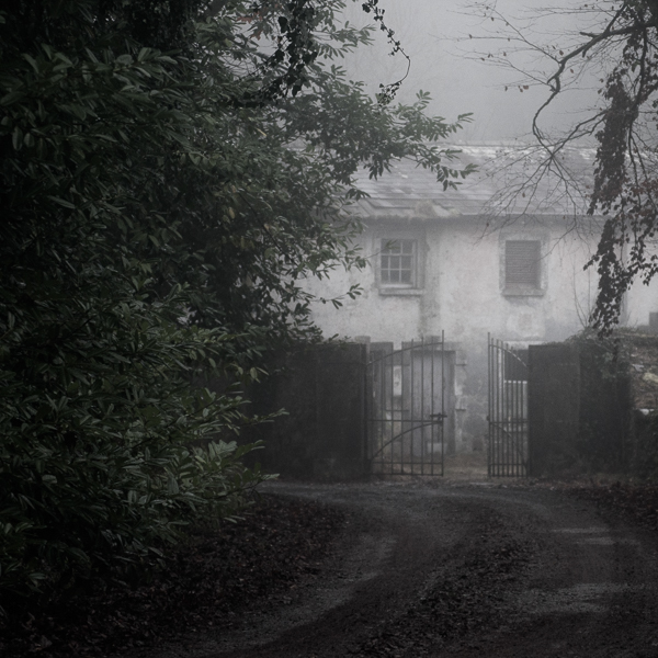 clonbrock Mystic land Ireland mood fog estate Landscape minimal zen Melancholy loneliness