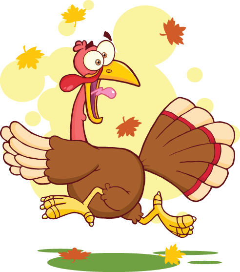 Turkey Bird Cartoon Character on Behance
