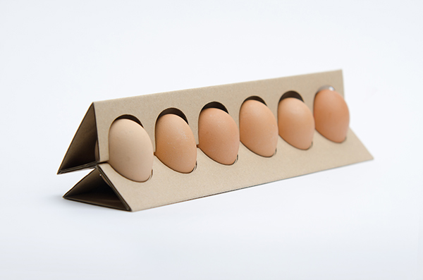 egg box egg holder