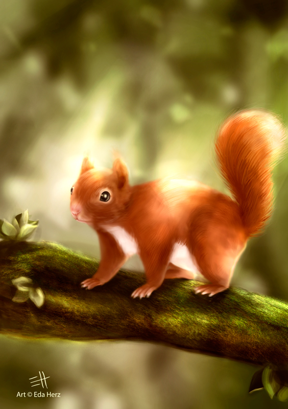 Red Squirrel eurasian omnivorous rodent arboreal Tree  art digital painting
