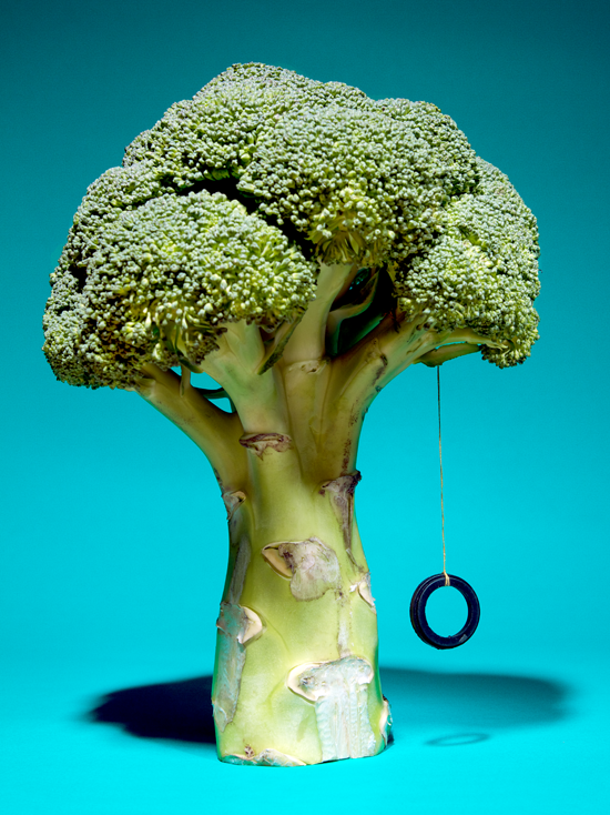 broccoli Food  food photography swing naturm close up