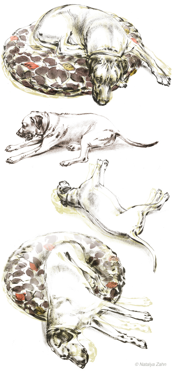 dog  Dogs ink Pen & Ink pets