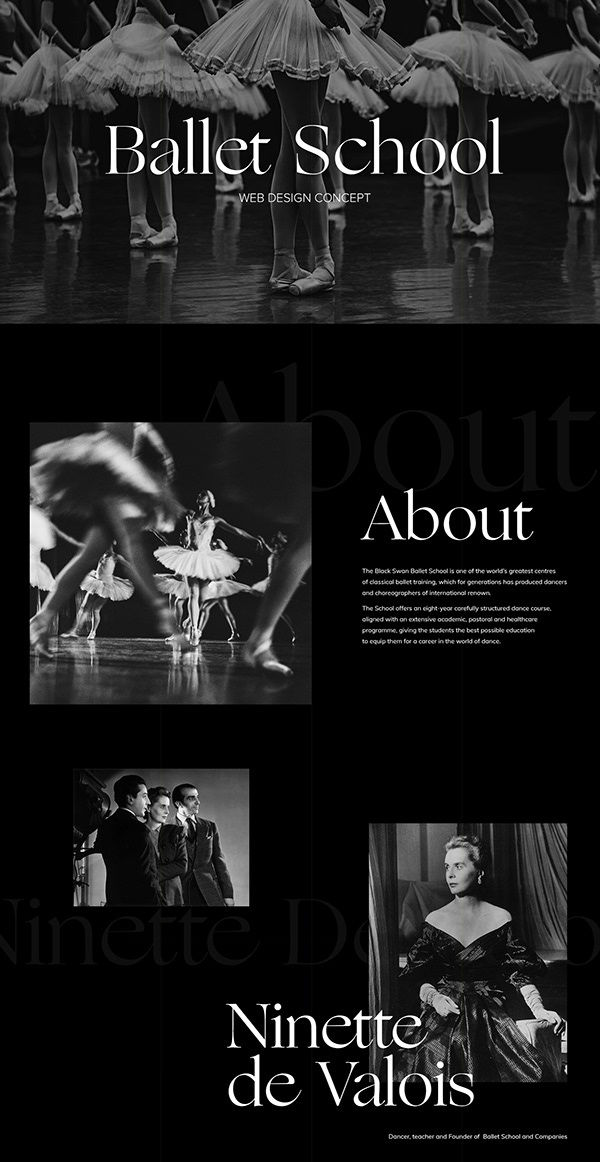 Ballet School Web Design Concept