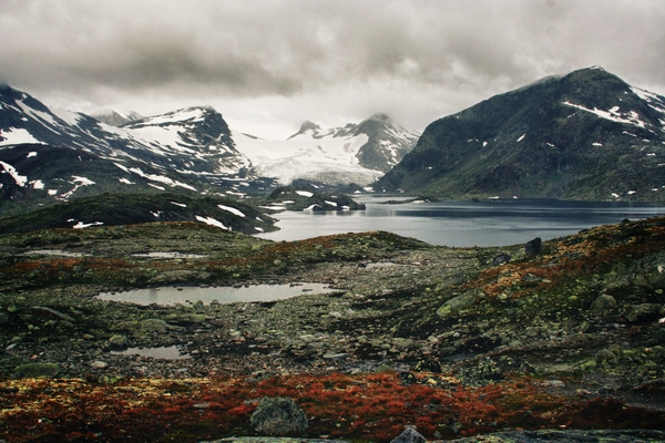 norway Scandinavia mountains sea Landscape Nature fjord norwegian