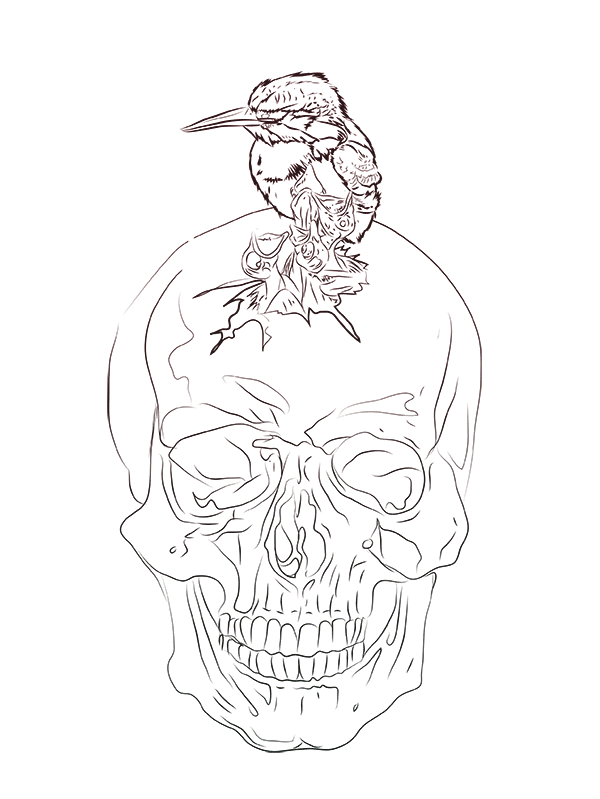 digital painting digital illustration Digital Drawing vector vector art Gif Art gif animation line line drawing syafiqhariz Character bird ink skull kingfisher