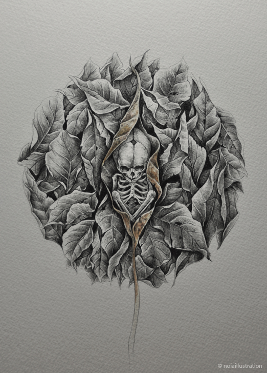 skull leaves leaf graphite noiaillustration