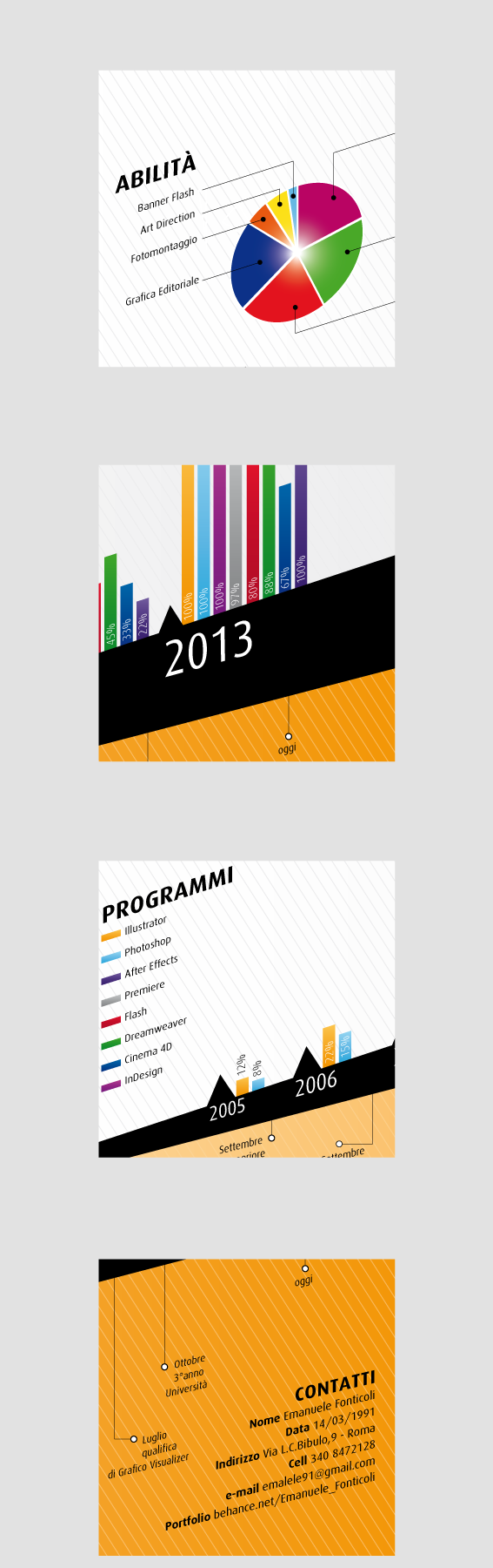 infographic curriculum graphic design design  curriculum infografica  curriculum vitae Character