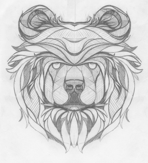 bear sketch lines