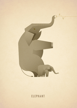 animals alphabet illustrated art posters Flash Cards type minimalist modern contemporary simple