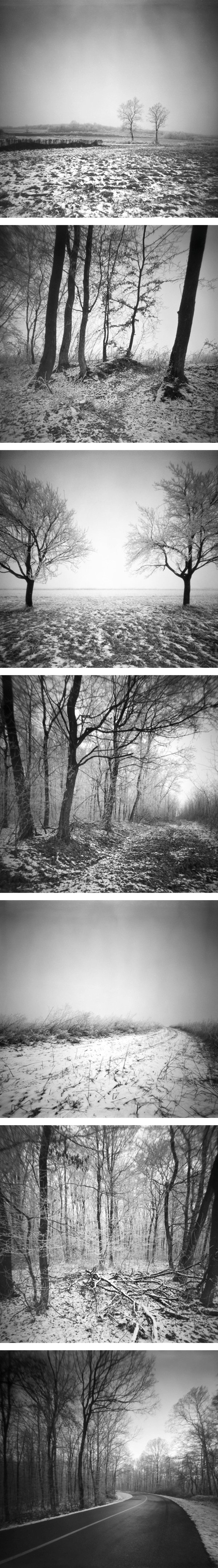 ice forest foggy fog analog bw b&w black and White serene misty peaceful road Nature efke Croatia field Landscape way mist camera pinhole snow Tree  beauty fine art winter frost frozen slavonija slavonia Beautiful row stenope One dakovo majar djakovo đakovo hrvatska osijek essek esseg snowy time Christmas pictorialsm photo secession photo-secession vintage old new modern contemporary cool iso100 artz.tk artz print buy poster Minimalism