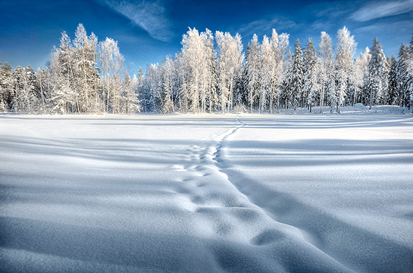winter finland mood snow light destiny Beautiful Nature colors season Landscape colorful White cold