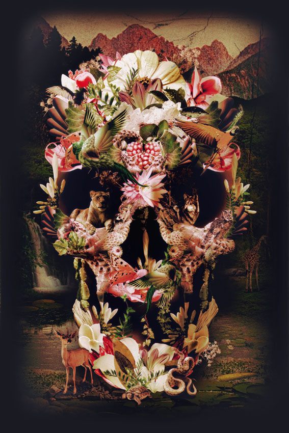 skull collage floral photo