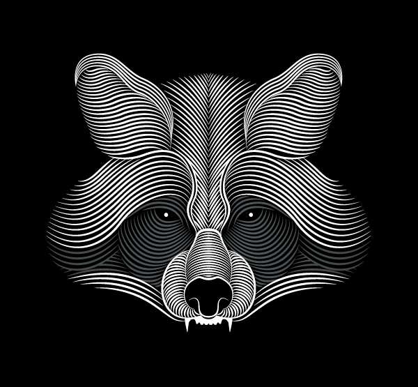 raccoon animal wild Mad teeth Fur lines stripes effect face symetry