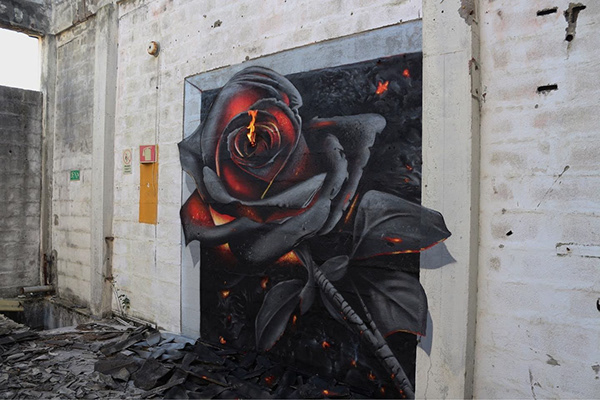 "Rebirth rose"