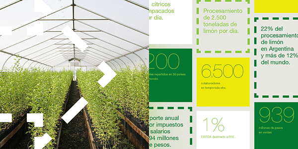 Sustainability Report / San Miguel