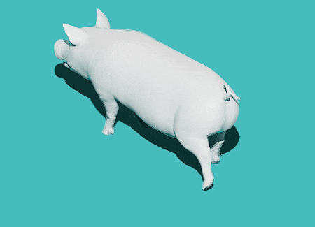 pig simulator