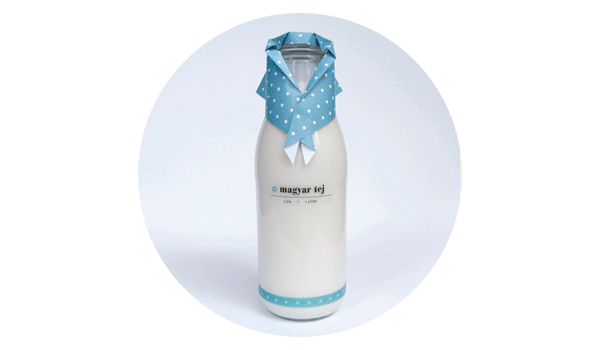 milk packaging milk paper papercraft
