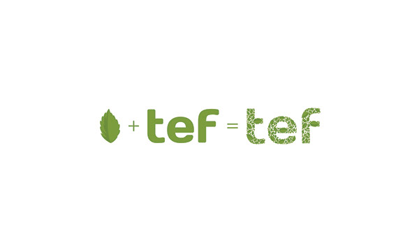 Eco Brand Identity | TEF