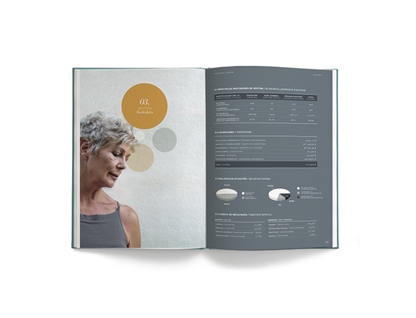 anual report identity brochure