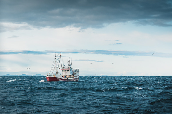 FISHERMEN OF ICELAND | Out at Sea