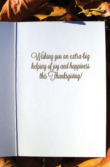 thanksgiving Holiday Turkey pumpkin pie greeting card turtle notes thankkful