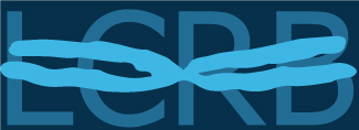 Computer graphics art logo
