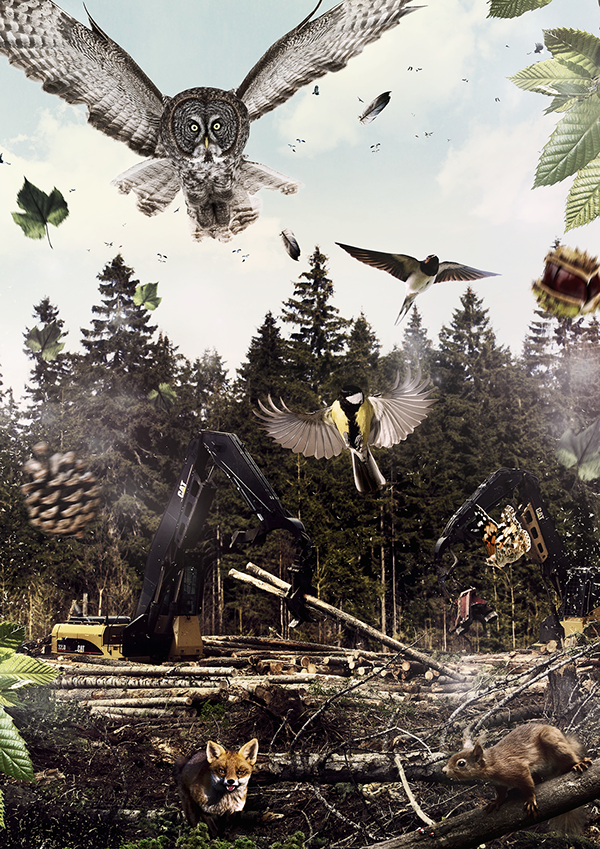 Save forest on Behance