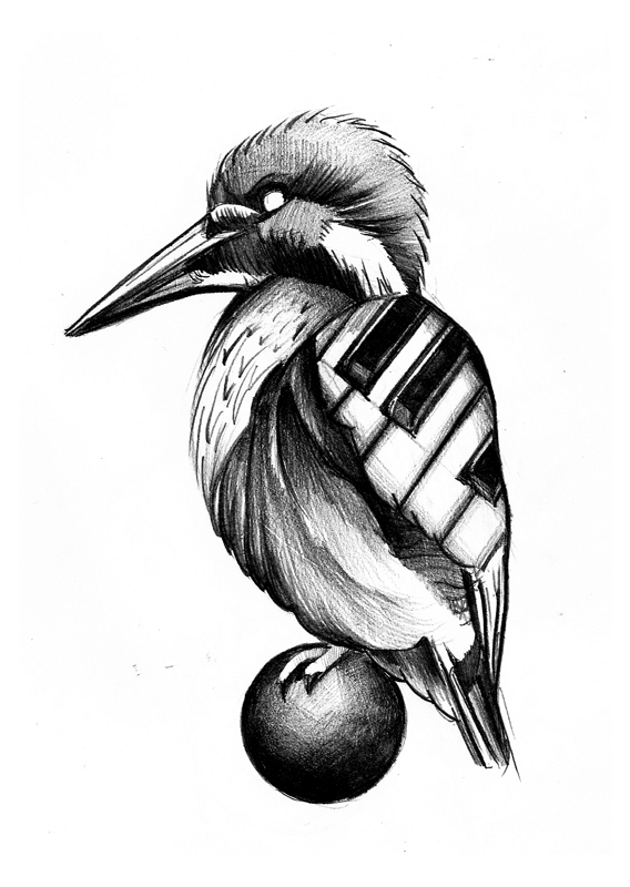 birds parrot freedom sketch tattoo plumage equbiak