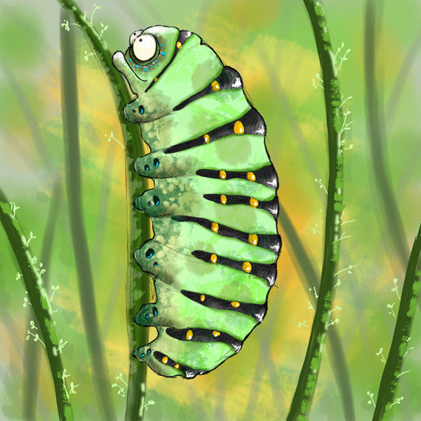 Caterpillar Nature digital pencil