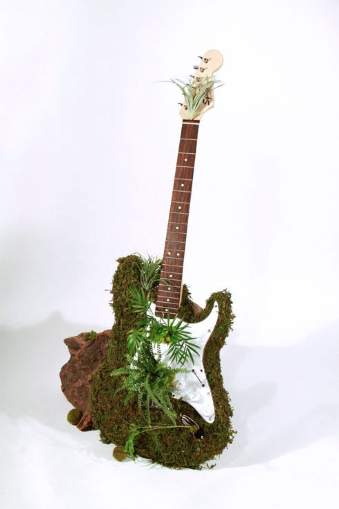 moss alive green bio green movement green design concept 3D real world plants living design living class Student work student Kevin O'Callaghan o'callaghan reductive helping rain forest promoting guitar